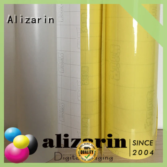 Alizarin eco-solvent printable vinyl factory for sportswear